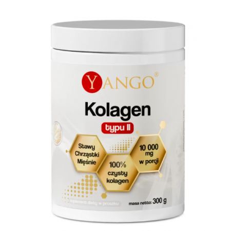 Kolagen Typu II proszek - 300 g