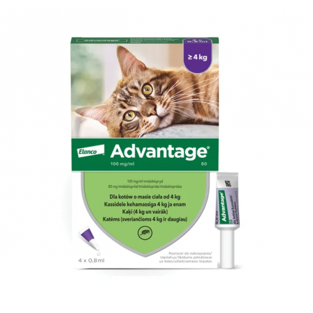 Advantage 80 roztwór do nakrapiania na skórę 100 mg/ml 4 tub._2
